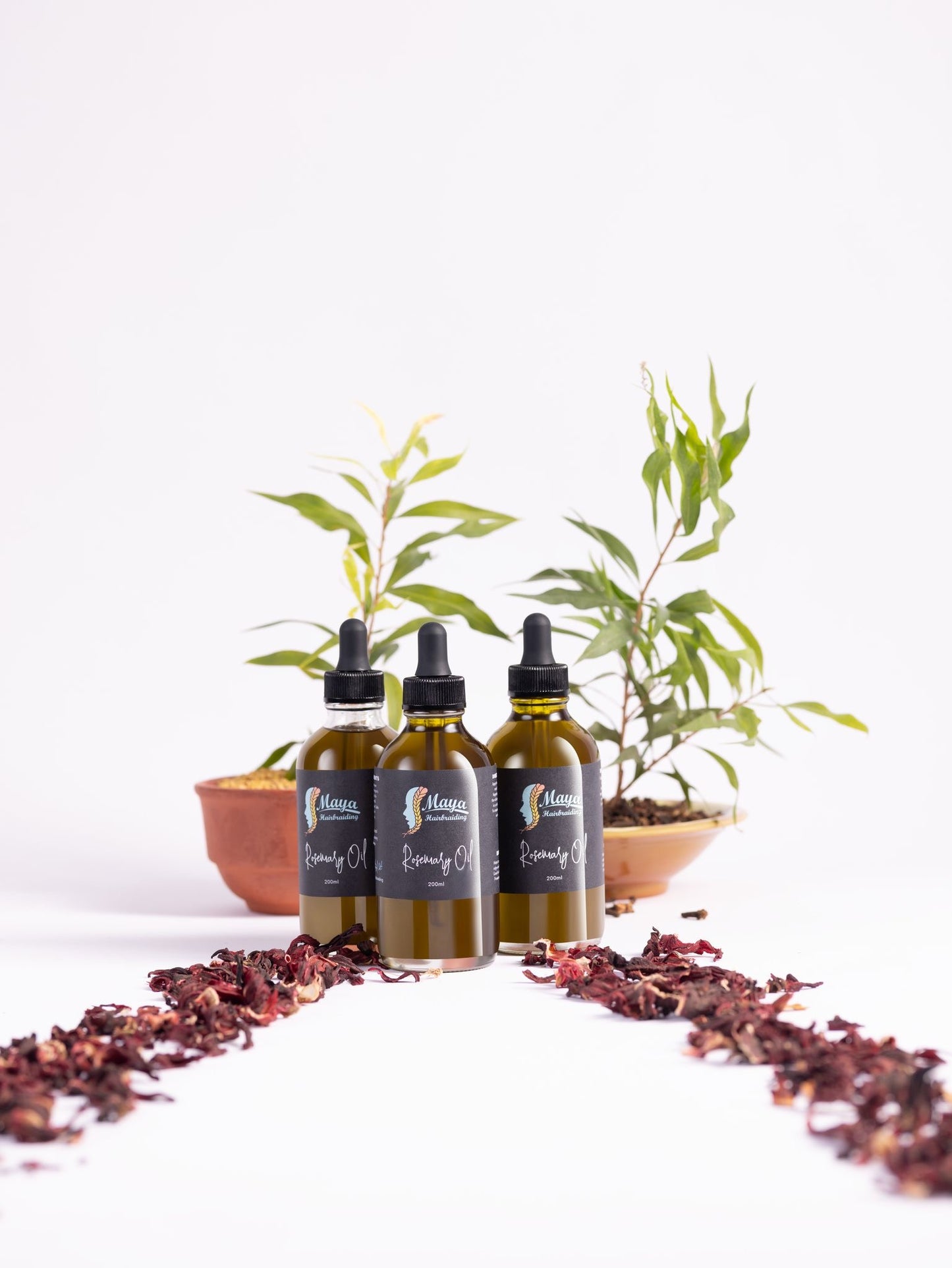 Rosemary Oil (120ml)